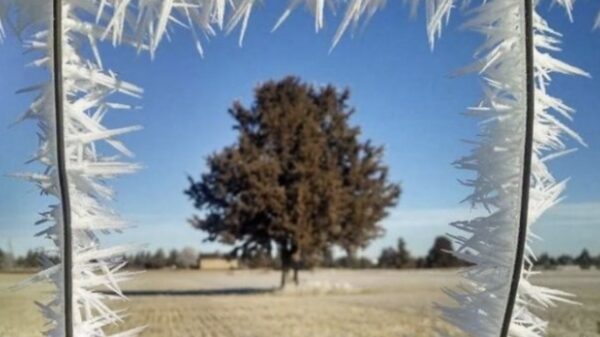 Je wekelijkse lading bevredigende pics om je OCD-gehalte op te krikken