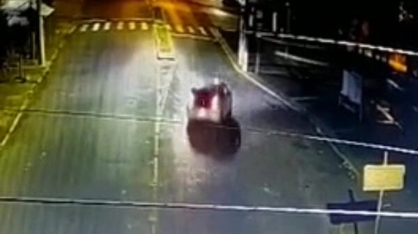 Back to the Future ook in Brazilië erg geslaagd