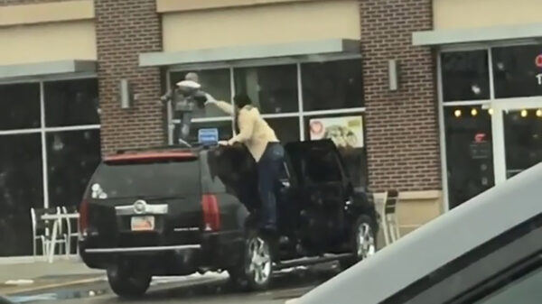 Trollende koter op autodak laat zien hoe fijn het is om kinderen te hebben