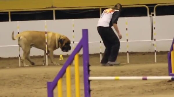 Loebas breekt het ronderecord nét niet