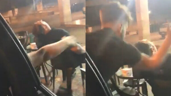 Slaapkop op het terras wakker maken doe je met een goedgemikte drive by