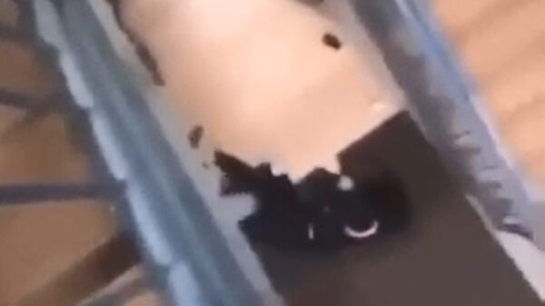 Als je van de trap afvalt ben je snel beneden