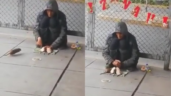 Dakloze rattenfluisteraar heeft zijn vier ratten netjes afgericht