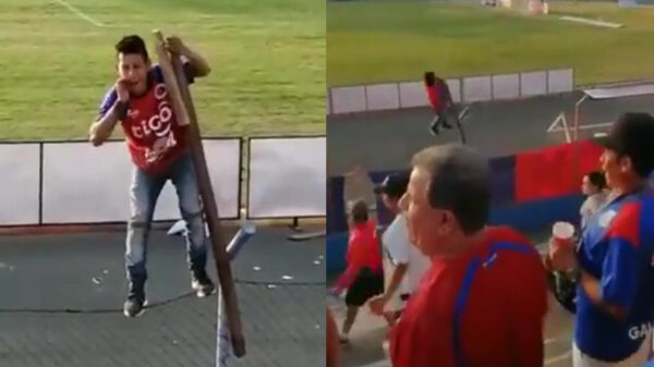 Deze koter is de eerste genomineerde voor de Darwin Awards 2020