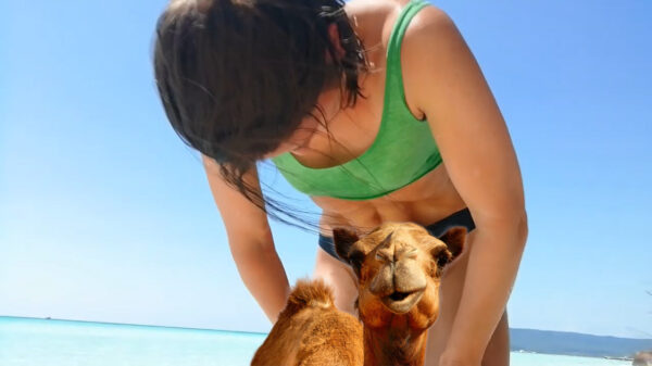 Amperbroekie demonstreert yogamethode 'Nauli Kriya' om de spijsverteringsorganen te reinigen