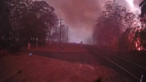 Heftige beelden van hoe snel een bosbrand om zich heen kan grijpen
