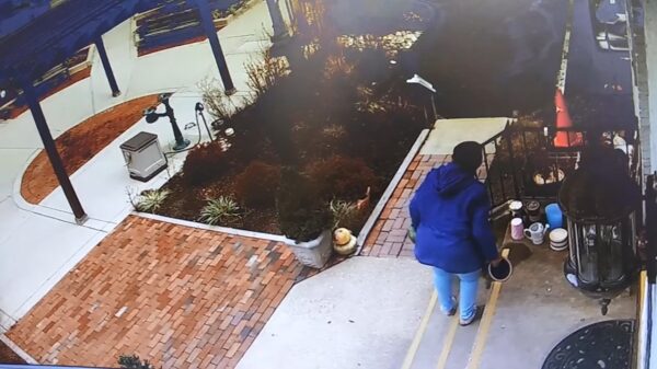 Vrouwelijke pottenjatter kan niet lang genieten van haar laatste veroveringen