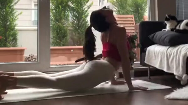 Goedemorgen: we beginnen de dag met wat haastige yoga