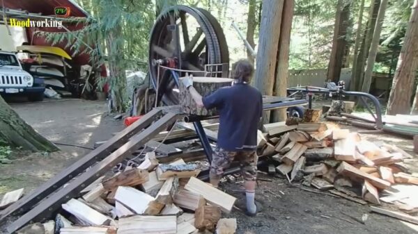 Als je hout wil kloven maar ook een stiekeme doodswens hebt