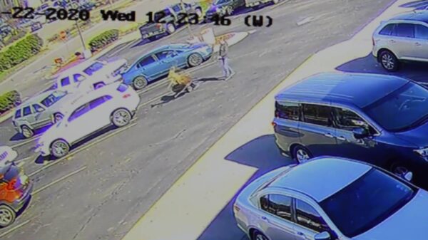 Pechvogel wordt op een parkeerplaats omvergebeukt door een hert