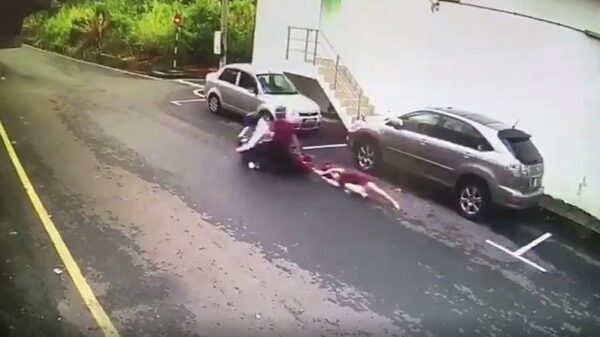 Maleisische taaie tante laat d'r handtasje niet zomaar jatten