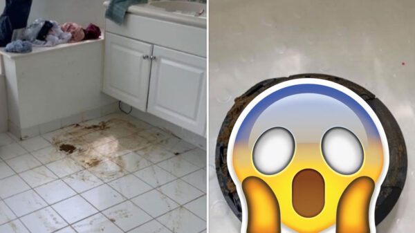 Een schoonmaakrobot is superhandig, als je geen kakkende huisdieren hebt