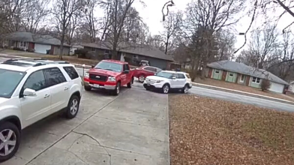 Moeder de vrouw bewijst over het verkeersinzicht van een pelpinda te beschikken