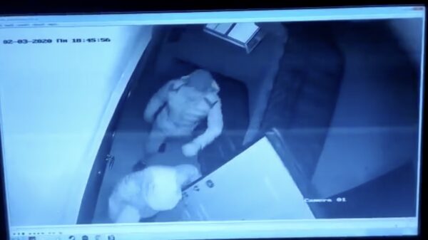 Overvallers komen er net iets te laat achter dat hun slachtoffer niet alleen thuis is