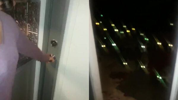 Knuffelmevrouw komt erachter dat wasberen toch echt wel bijten