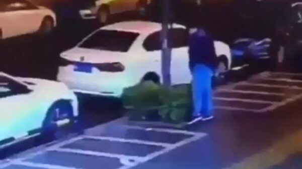 Boompje vindt het niet prettig als je tegen hem aan pist