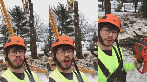 Selfie van hersenloze houthakker eindigt bijna in een Darwin Award