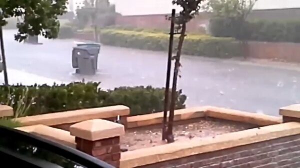 Wedstrijd tussen 2 afvalcontainers