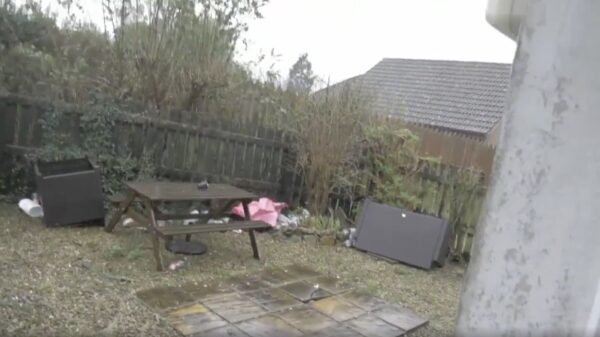 Koeien vliegen door de lucht #ciara