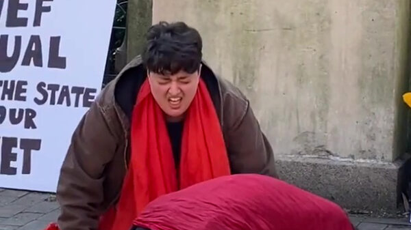 Nieuwe hobby voor milieufanaten: huilen als een zeehond voor de planeet