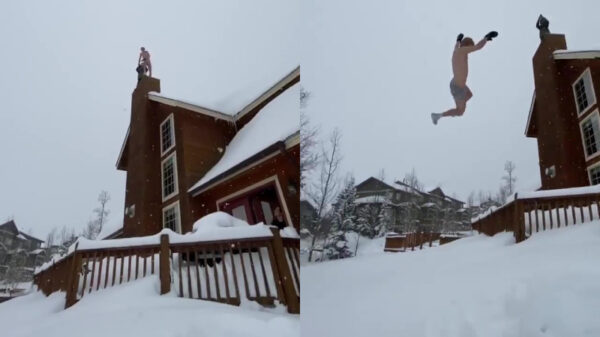 IJskonijn doet keurige verdwijntruc