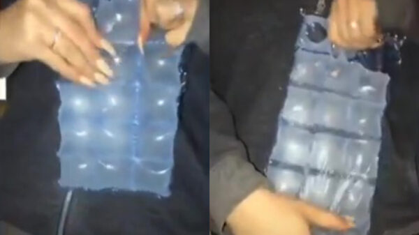 IJsblokjes uit de zak halen? Dat doe je je hele leven al verkeerd