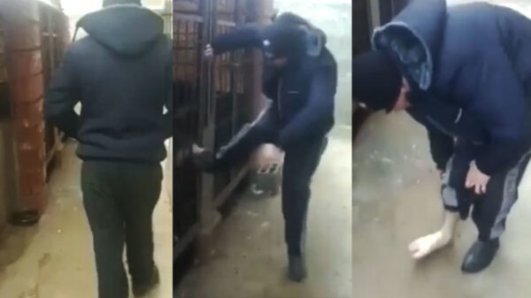 Opgesloten hond neemt wraak op man die een trappende beweging maakt