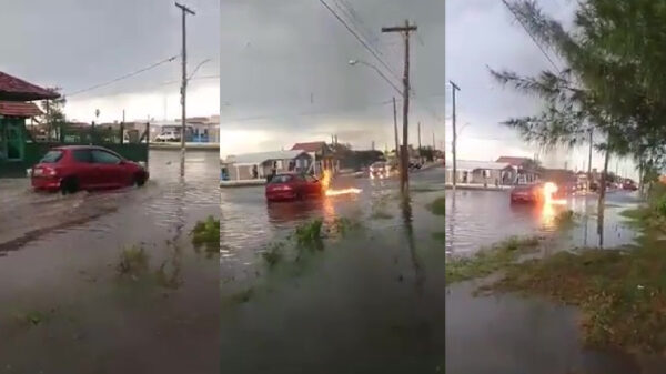 Auto vliegt in de hens nadat deze het water inrijdt