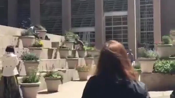 Even de bloemetjes in het park bemesten