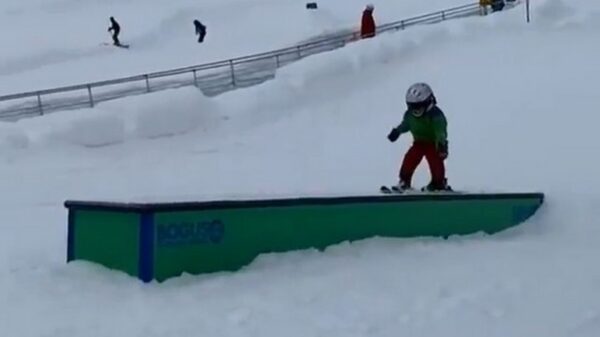 Koter op ski's moet opnieuw opgestart worden