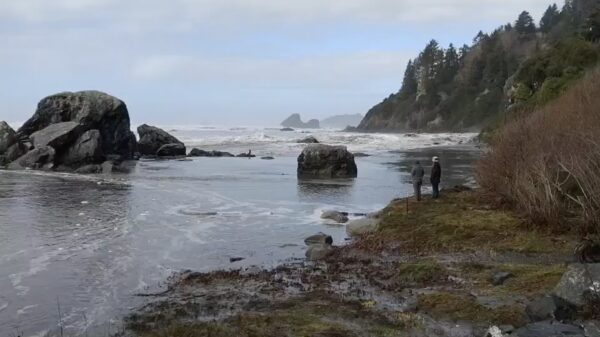 Plotselinge vloedgolf op Moonstone Beach in Californië slokt uit het niets drie toeristen op