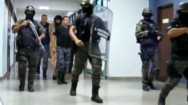 Israëlische moordverdachte denkt dat 'ie een kat is en gaat miauwend de rechtszaal in