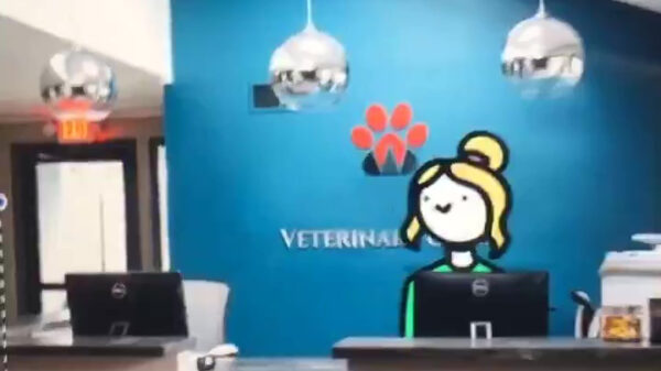 Dierenarts help, mijn hond zit onder de beestjes