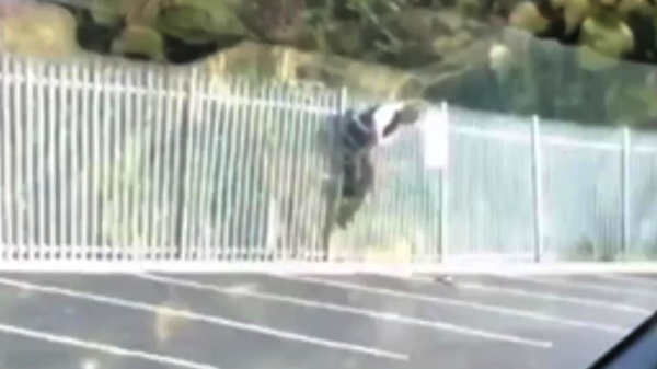 Politieagent hangt hulpeloos aan een hek en wordt niet gered