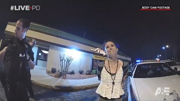 Autodievegge wordt aangehouden: ontkent diefstal en jat vervolgens een politieauto