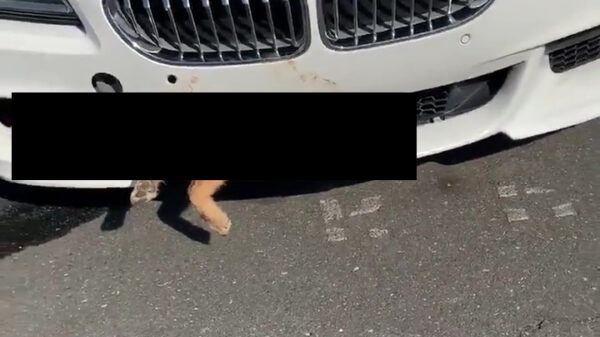 Hey meneer monteur, volgens mij is mijn radiateur kapot