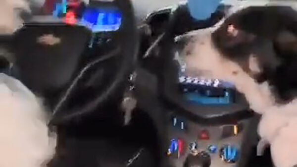 Hond is helemaal klaar met al dat gejank