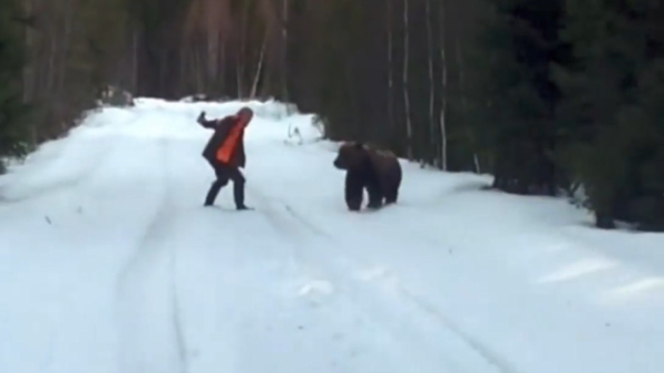 Zweedse kerel weet beer te laten schrikken als deze plotseling wil aanvallen