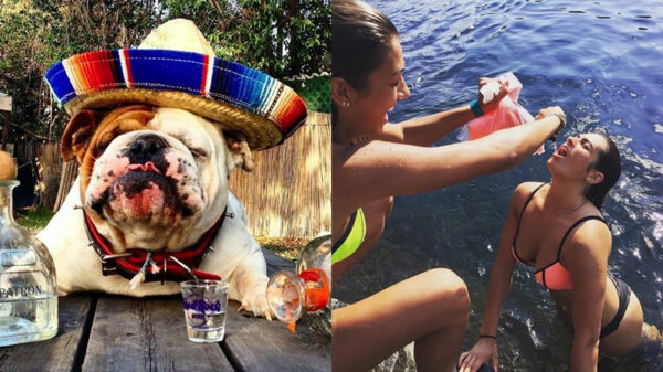 Hotssjeeeeéé het is weekend!