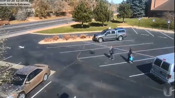 Loslopende hond valt uit het niets klein meisje op een parkeerplaats aan