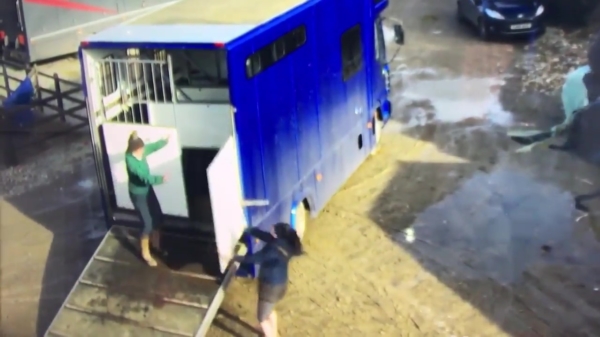 Paardenmeisje krijgt trailerdeur vol in d'r bakkes