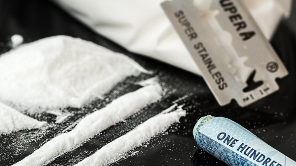 Snuivers gaan op zoek naar de oorsprong van hun lijntje in The Cocaine Trail