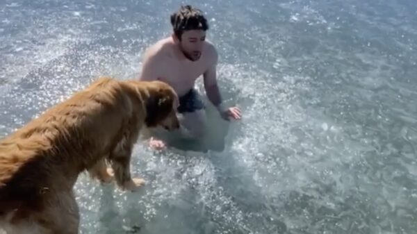 Alleen al het kijken naar dit stukje ijszwemmen geeft je claustrofobie