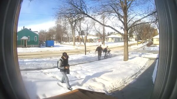 Een zogenaamde 'porch pirate' wordt door de hele buurt op heterdaad betrapt