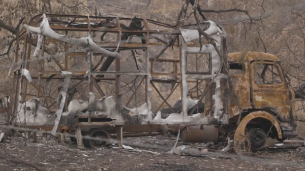 Vice gaat op zoek naar de verhalen van de slachtoffers van de bosbranden in Australië