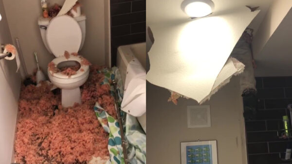 Bovenbuurman komt even onaangekondigd op bezoek