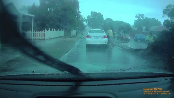 Automobilist wordt bijna geplet als er een boom op zijn auto valt