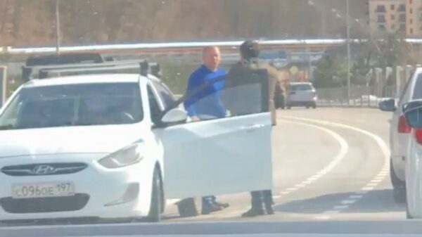 Agressieve kemphaantjes houden een niet alledaagse road rage