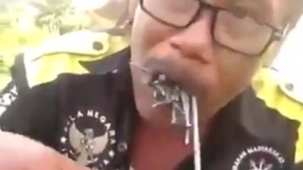 Deze knakker heeft een nogal ijzerrijk dieet