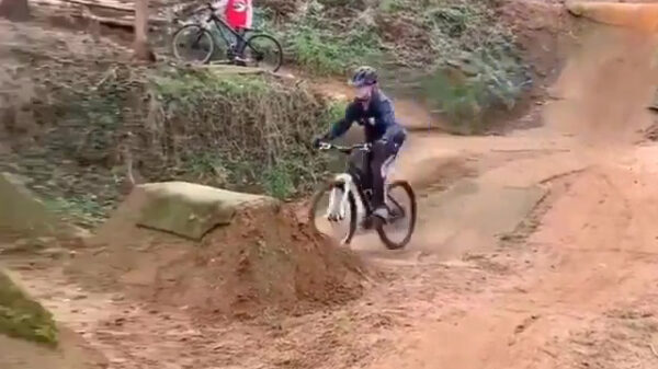 Je gezicht blijkt nog steeds een prima middel om mee af te remmen